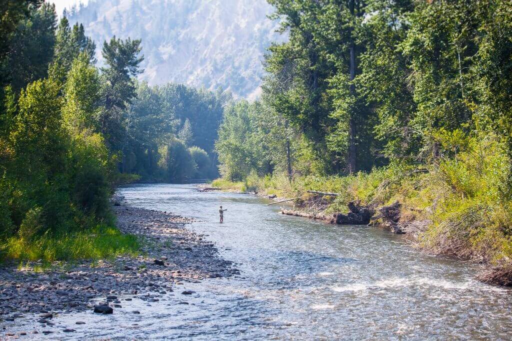 A man fly-fishing.