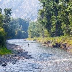 A man fly-fishing.