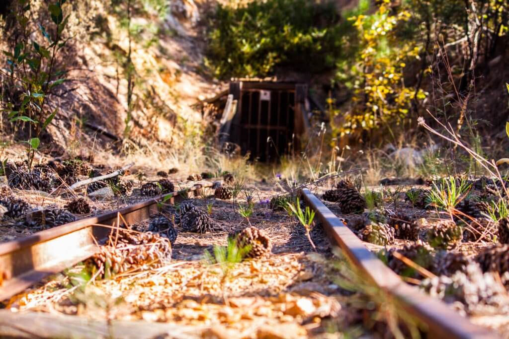 Idaho City Mine