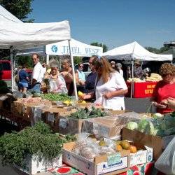 Idaho Falls Farmer's Market