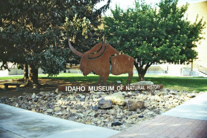 Idaho Museum of Natural History