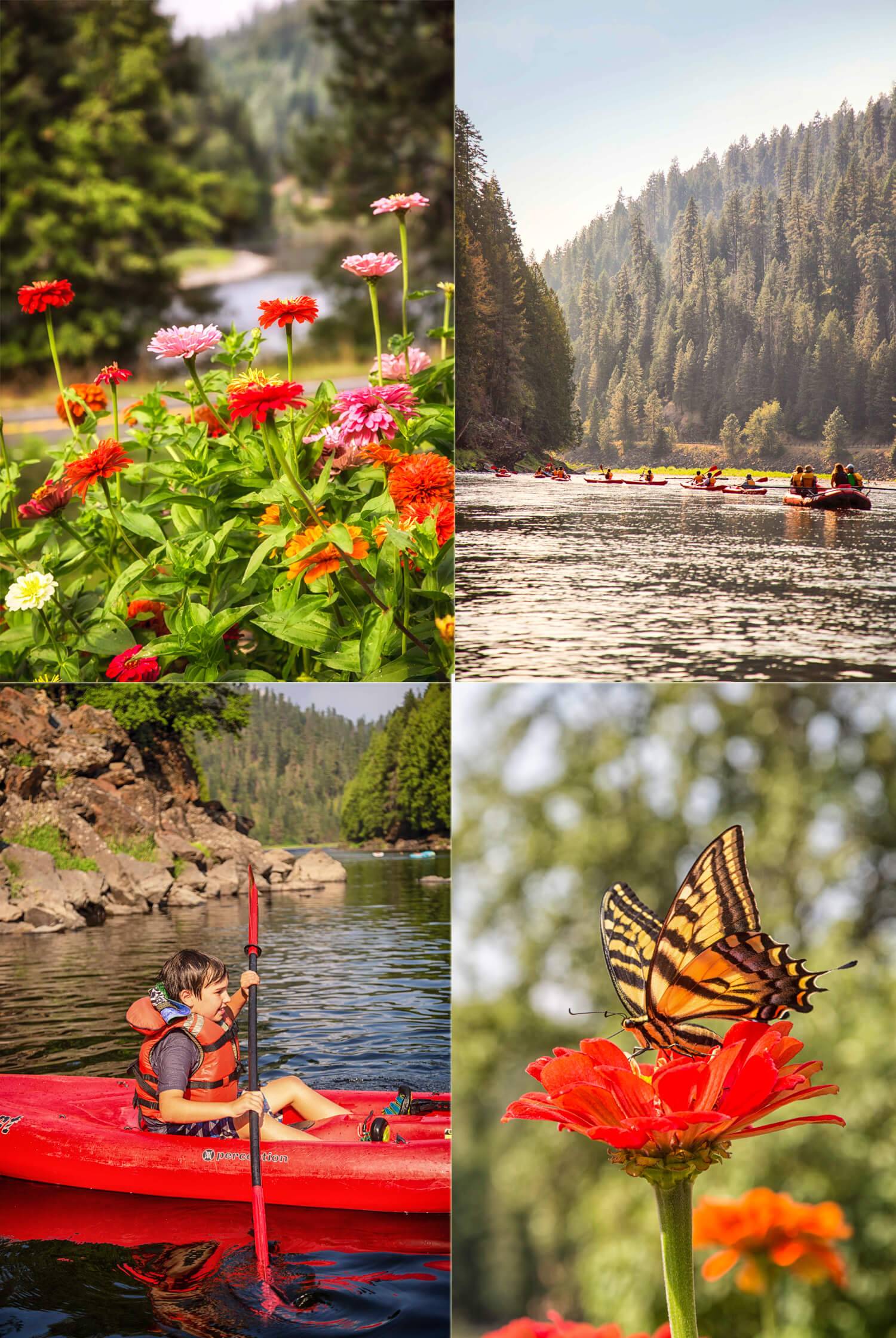 Photo collage of potted flowers, butterfly on flower, river rafters, boy in kayak.