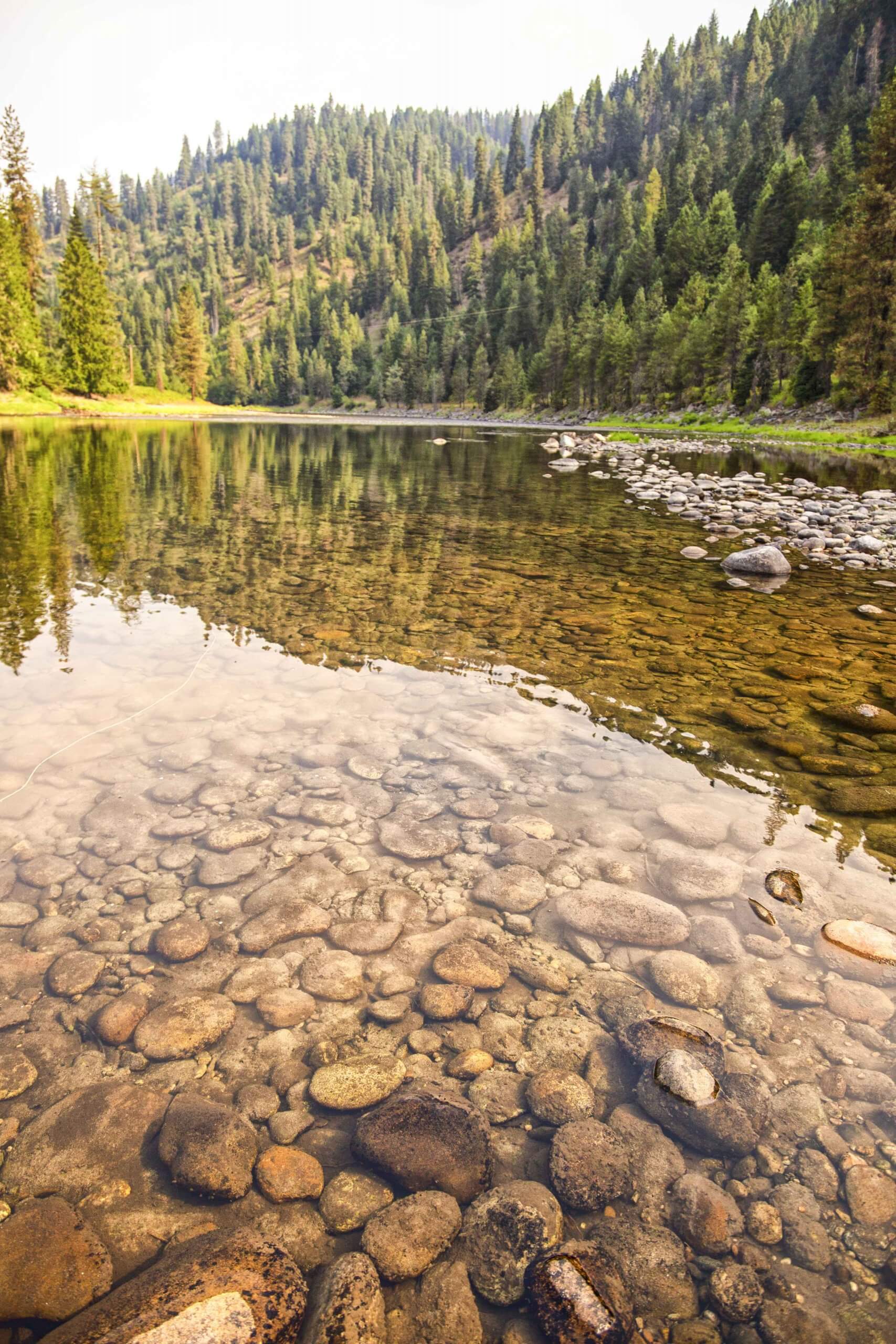 Clear river showing rocks on the bottom.