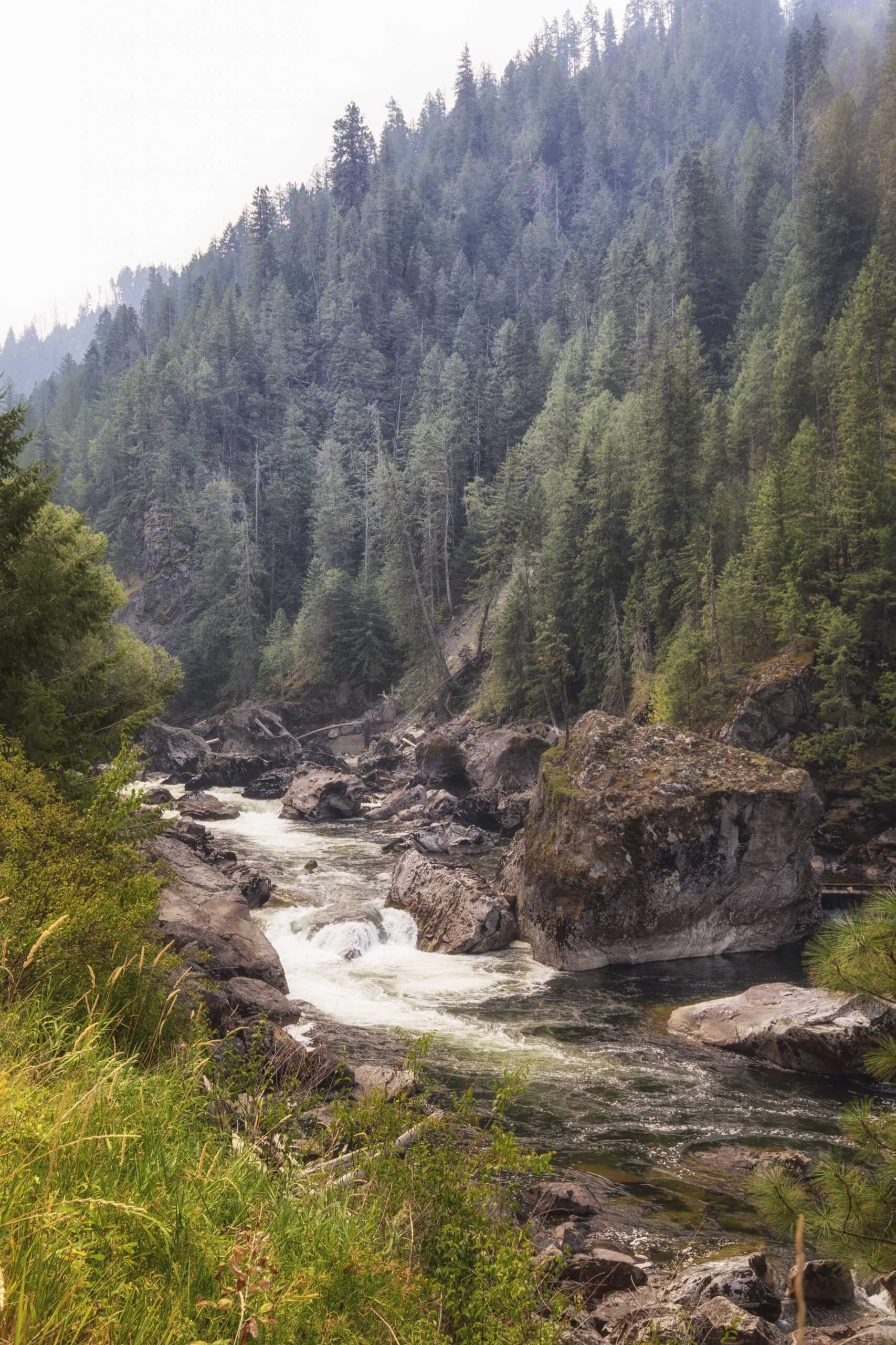 Rapids coursing through large rocks in the river.