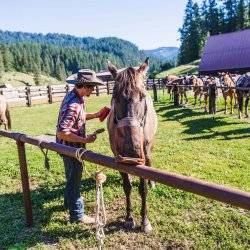 Red Horse Mountain Ranch