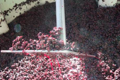 The fermenting process underway at Coeur d'Alene Cellars.