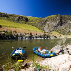 Two blue rafts float along the shore of the Salmon River.