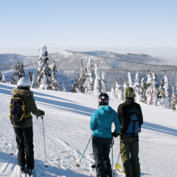 Three skiers overlook a ski run and snow-covered trees at Schweitzer.