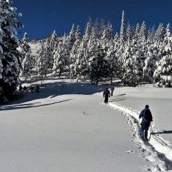 Snowshoeing