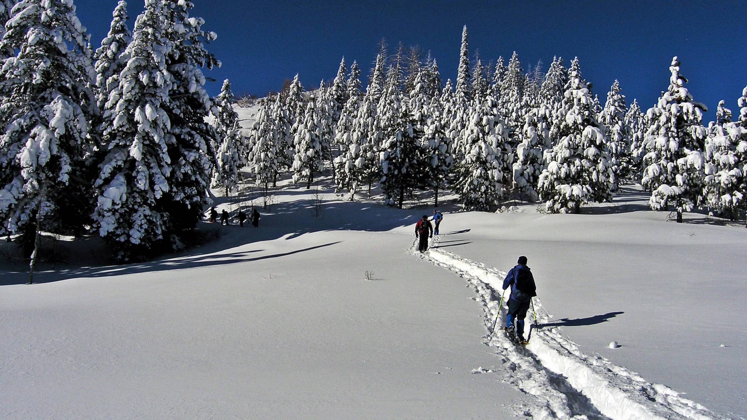 Snowshoeing