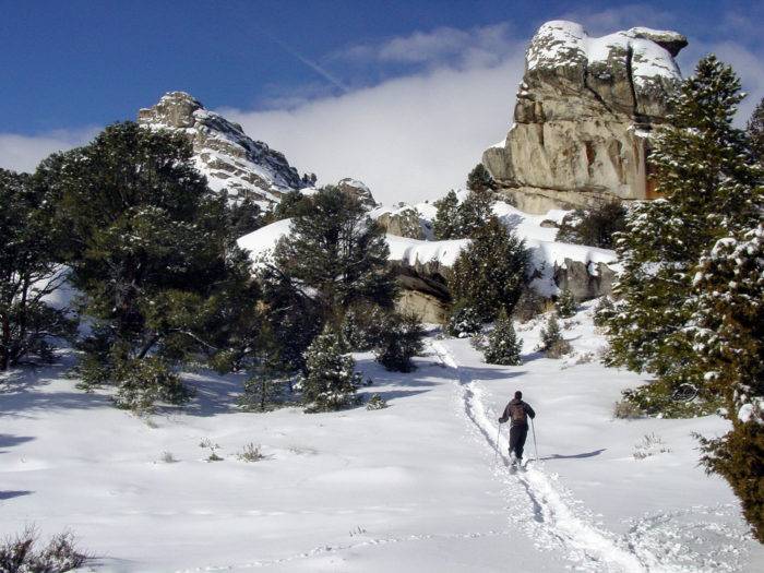 Snowshoeing