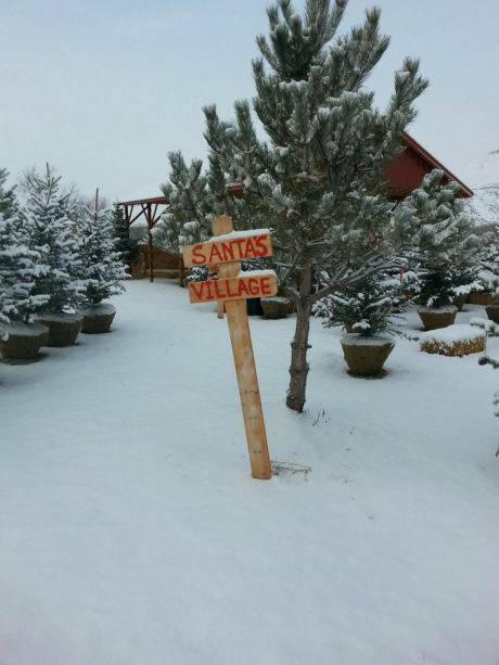 Plan a visit to Santa's Village about the Thunder Mountain Line.