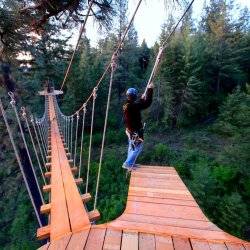 Timberline Adventure's swinging bridge.