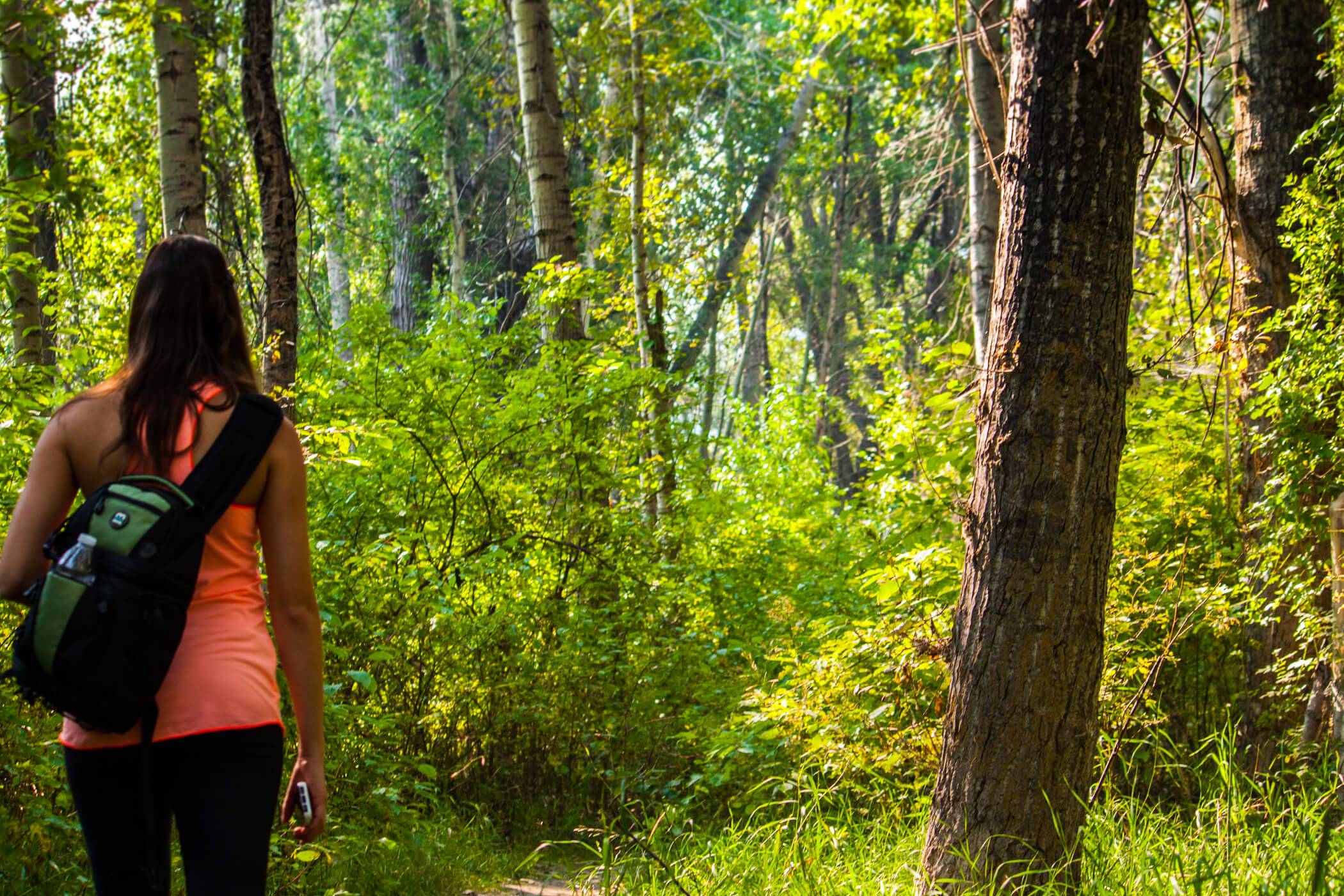 Wood River Trail System