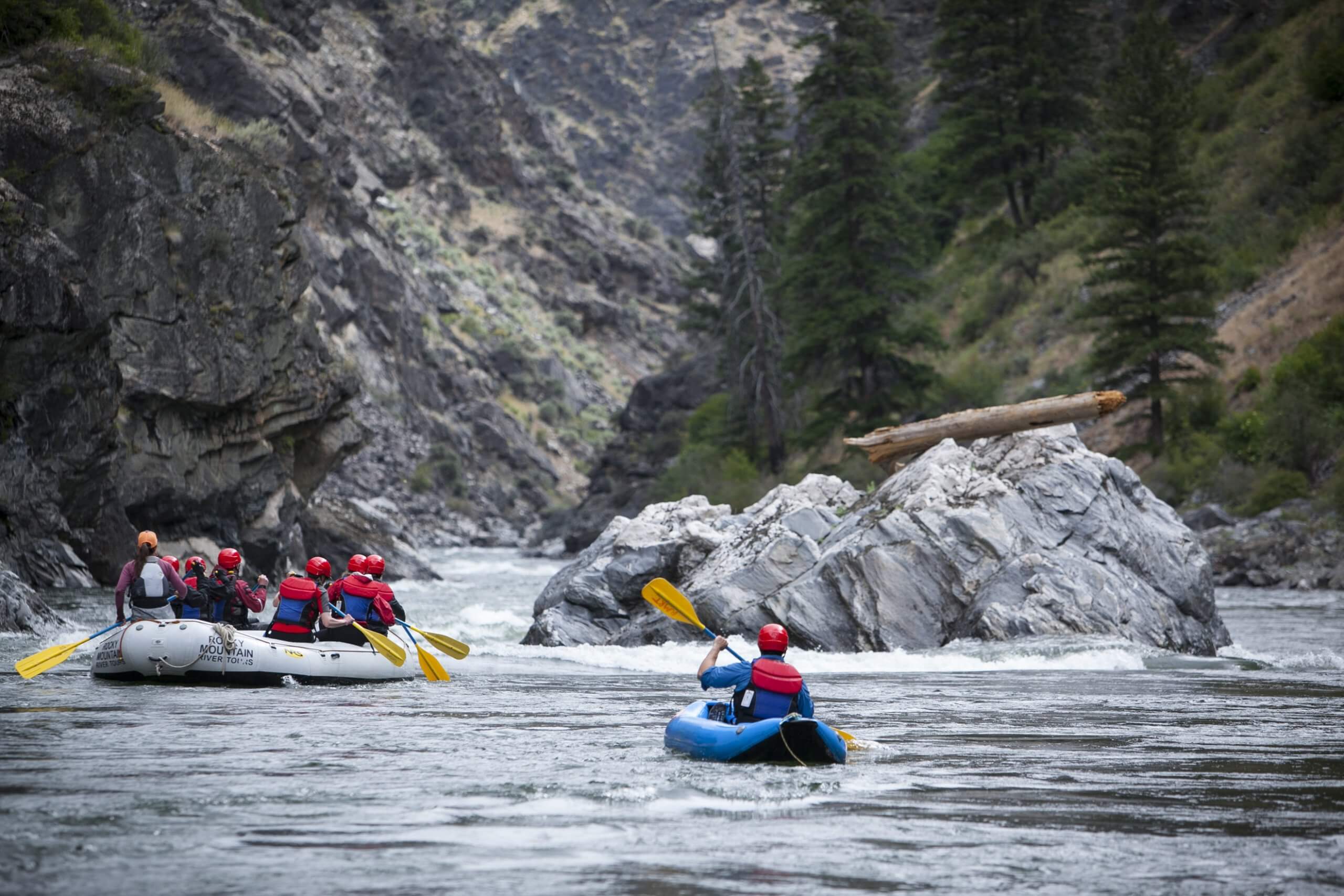 A big group and a solo rafter take their oars as they travel down the rippling Salmon River on a Rocky Mountain river tour, steering around tall rocks into the mountains.