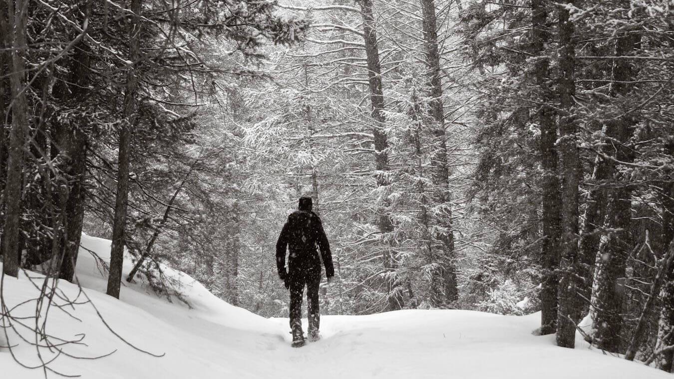 A person snowshoeing through a tall, snow-covered forest near Galena Lodge.