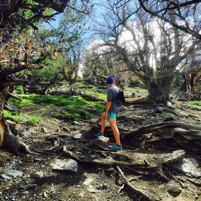 A man hiking a mountain.