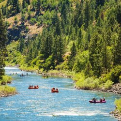 Groups of people rafting on the Main Payette River surrounded by forested, mountainous terrain.