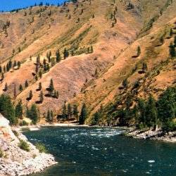 Salmon River near Riggins.