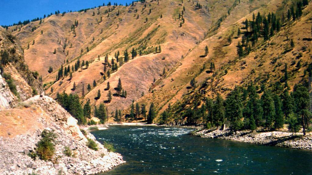 Salmon River near Riggins.