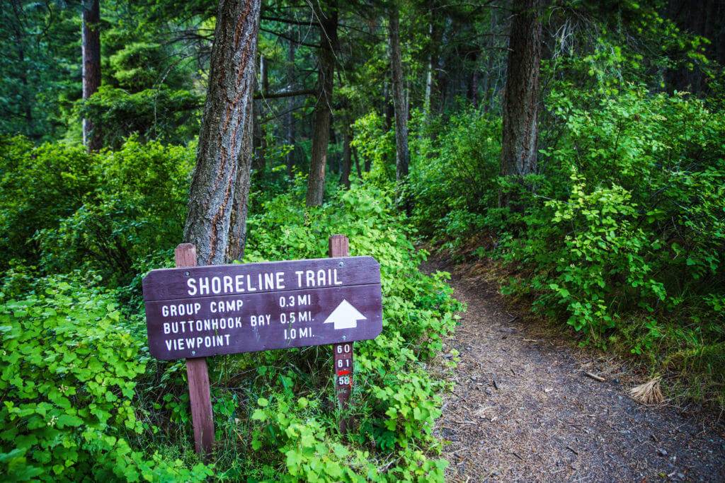 Shoreline Trailhead at Farragut State Park, surrounded by green foliage.