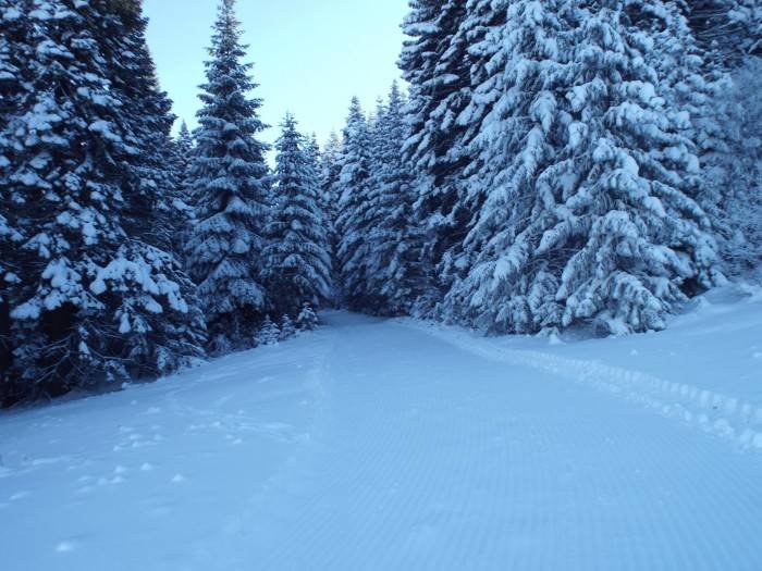 Skiing, Cottonwood Butte. Photo Credit: Ski Idaho