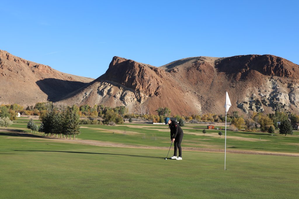 A golf stands on a golf green attempting to tap a golf ball into the hole.