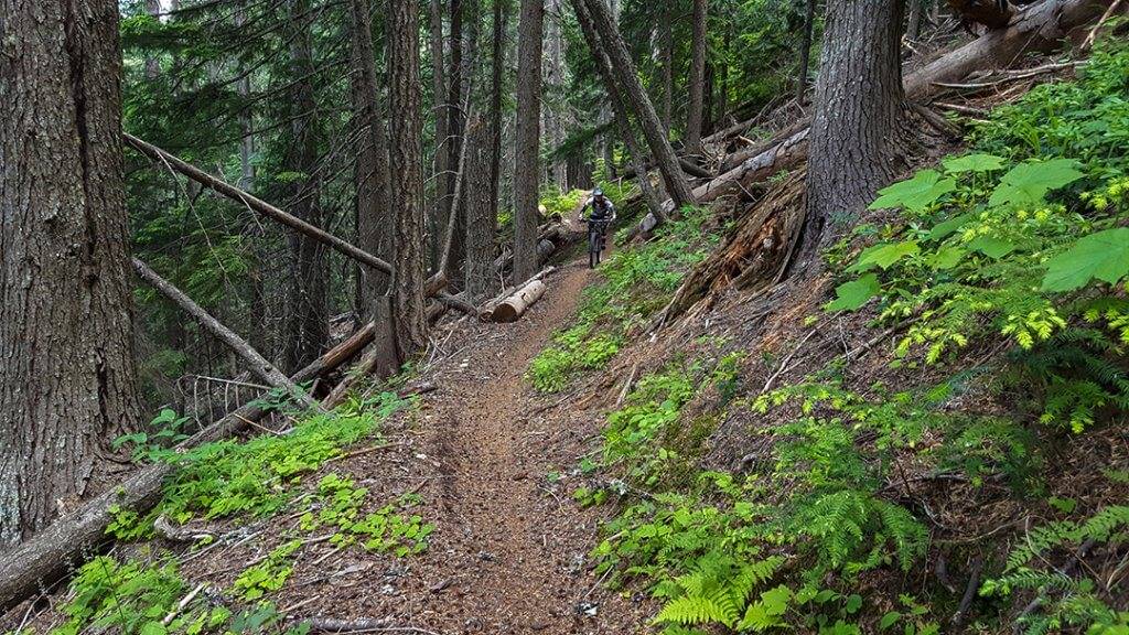 Bernard Peak_Mountain Biking