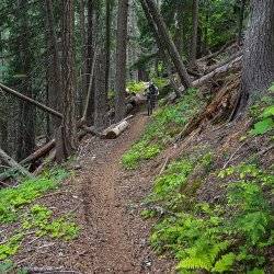 Bernard Peak_Mountain Biking