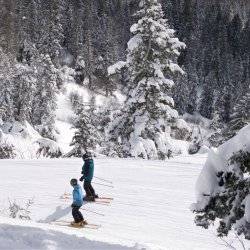 Skiers headed down a run filled with powder.