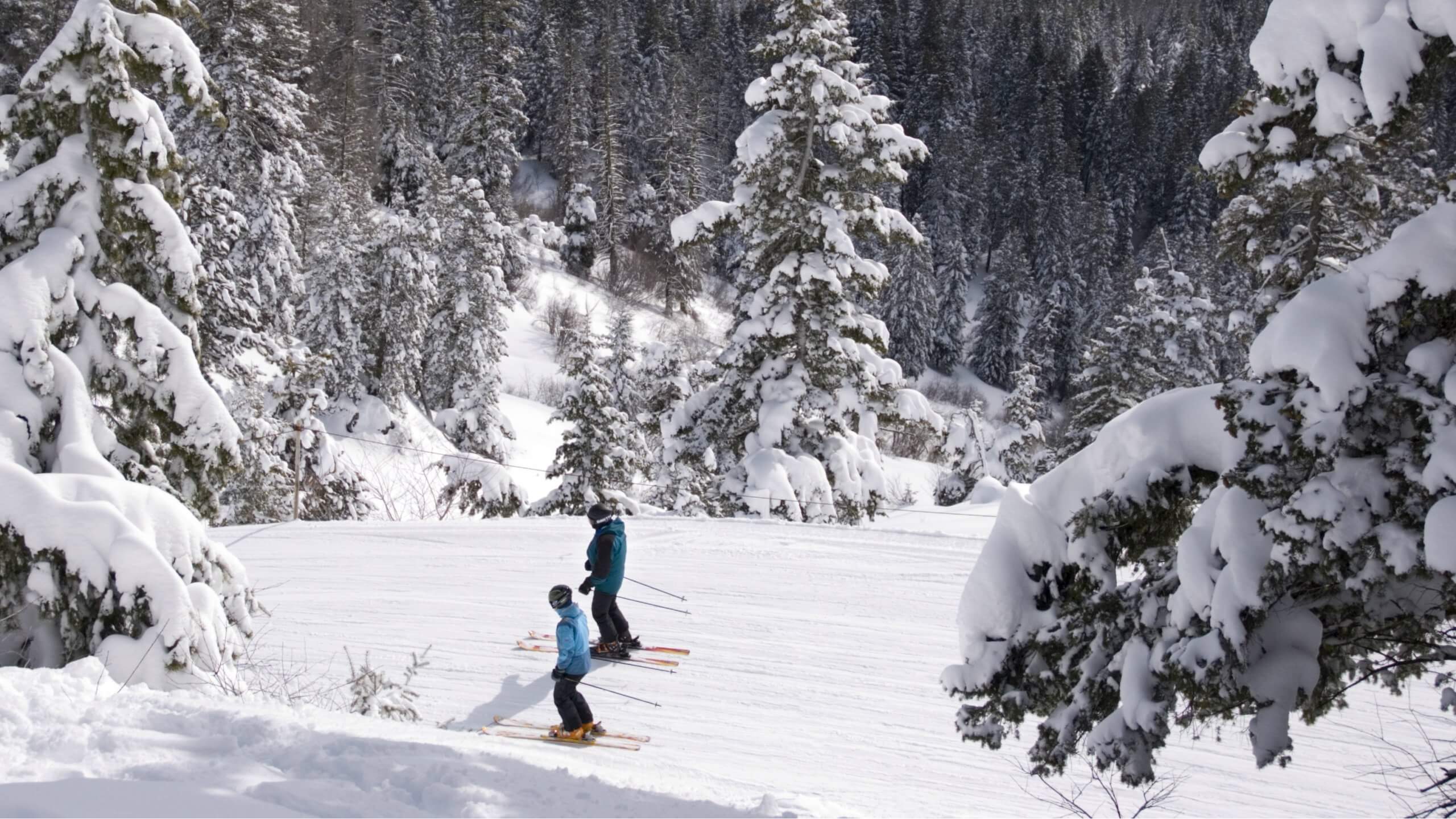 Skiers headed down a run filled with powder.