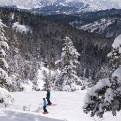 Skiers headed down a run filled with powder.