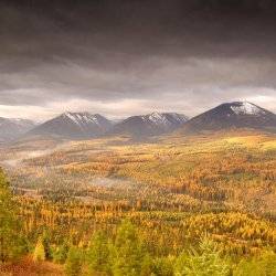 Fall foliage in the Cabinet Mountains on the Selkirk Loop.