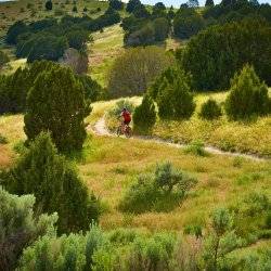 City Creek Management Area Trail System