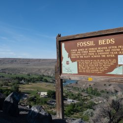 A wooden informational sign for Hagerman Fossil Beds.