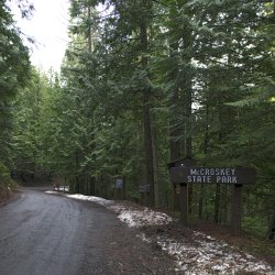 A dirt road leads into McCroskey State Park with tall pine trees standing alongside the road.