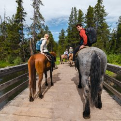 a man and a woman sitting on horses. the woman is on a brown horse and the man on a gray horse, walking across a wooden bridge in Harriman State Park.