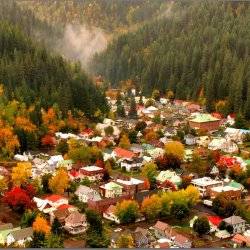 An overhead view of trees with fall foliage scattered throughout the town of Wallace, surrounded by a large forest,