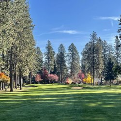 A down range view of the grass and trees on a hole of the Coeur d'Alene Golf Club course.