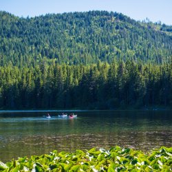 Four people in four kayaks paddling across Round Lake with forested mountains in the background.