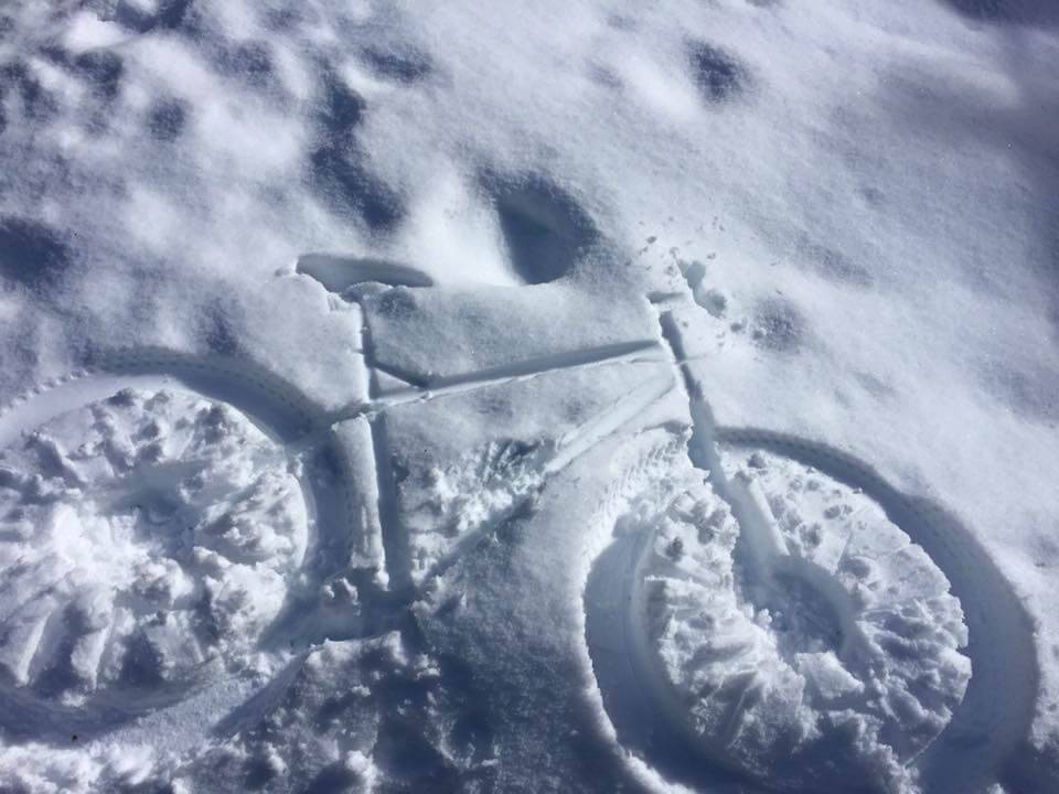 An imprint of a bike that was once laying in the snow.