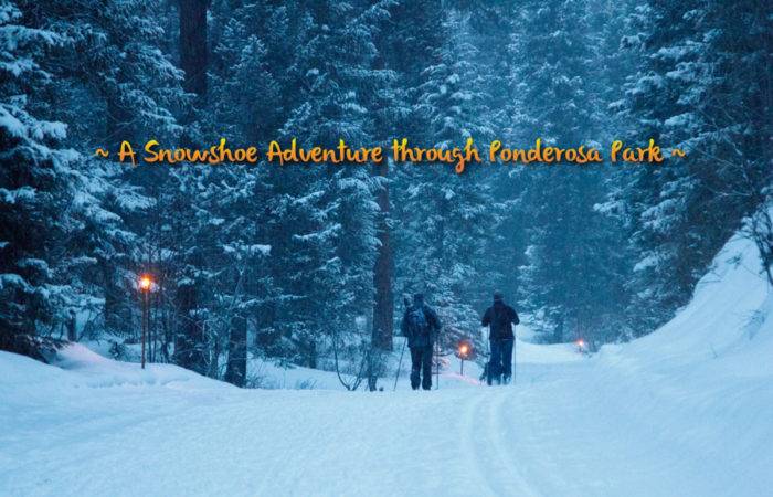 Snowshoe Adventure in Ponderosa State Park