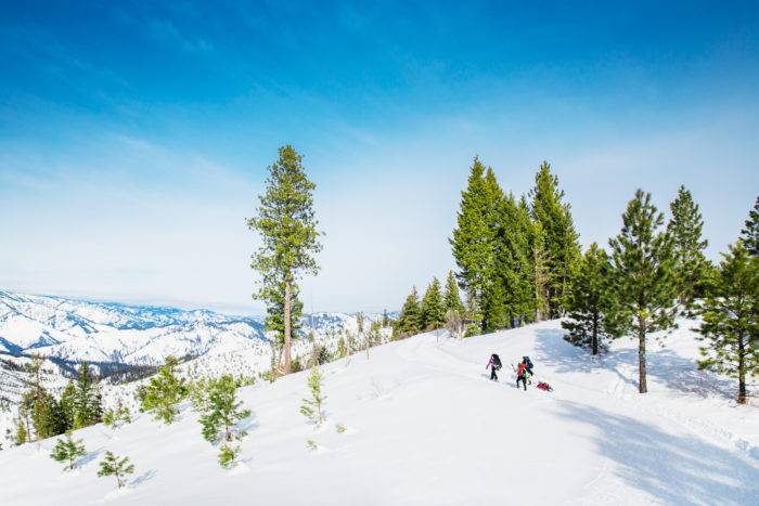 Two people snowshoeing up a hill and a forest in the background.