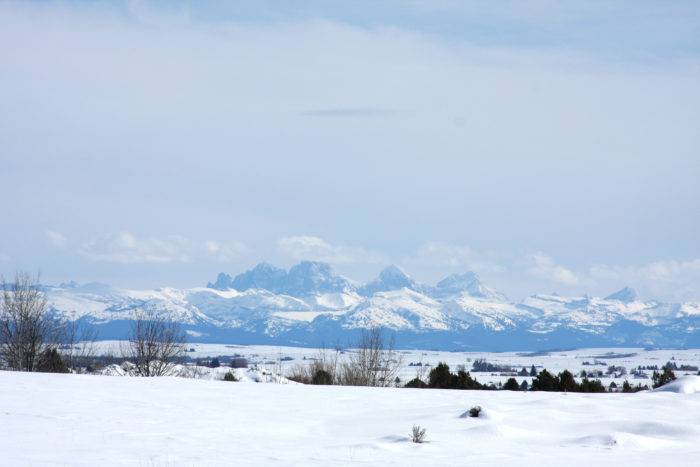 The views of the Tetons are pretty spectacular.