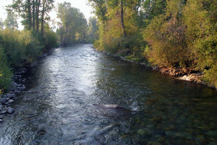 A river running through a valley.