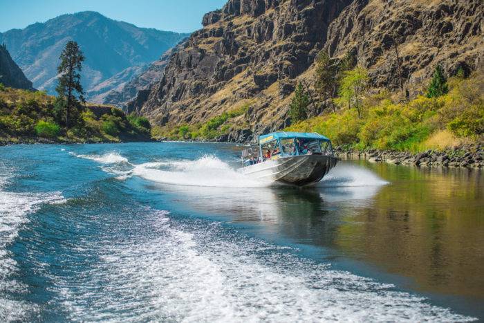 A jetboat cruising down a river.