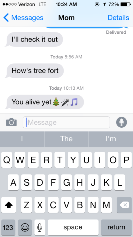 A text from my mom asking if I am having fun at Treefort