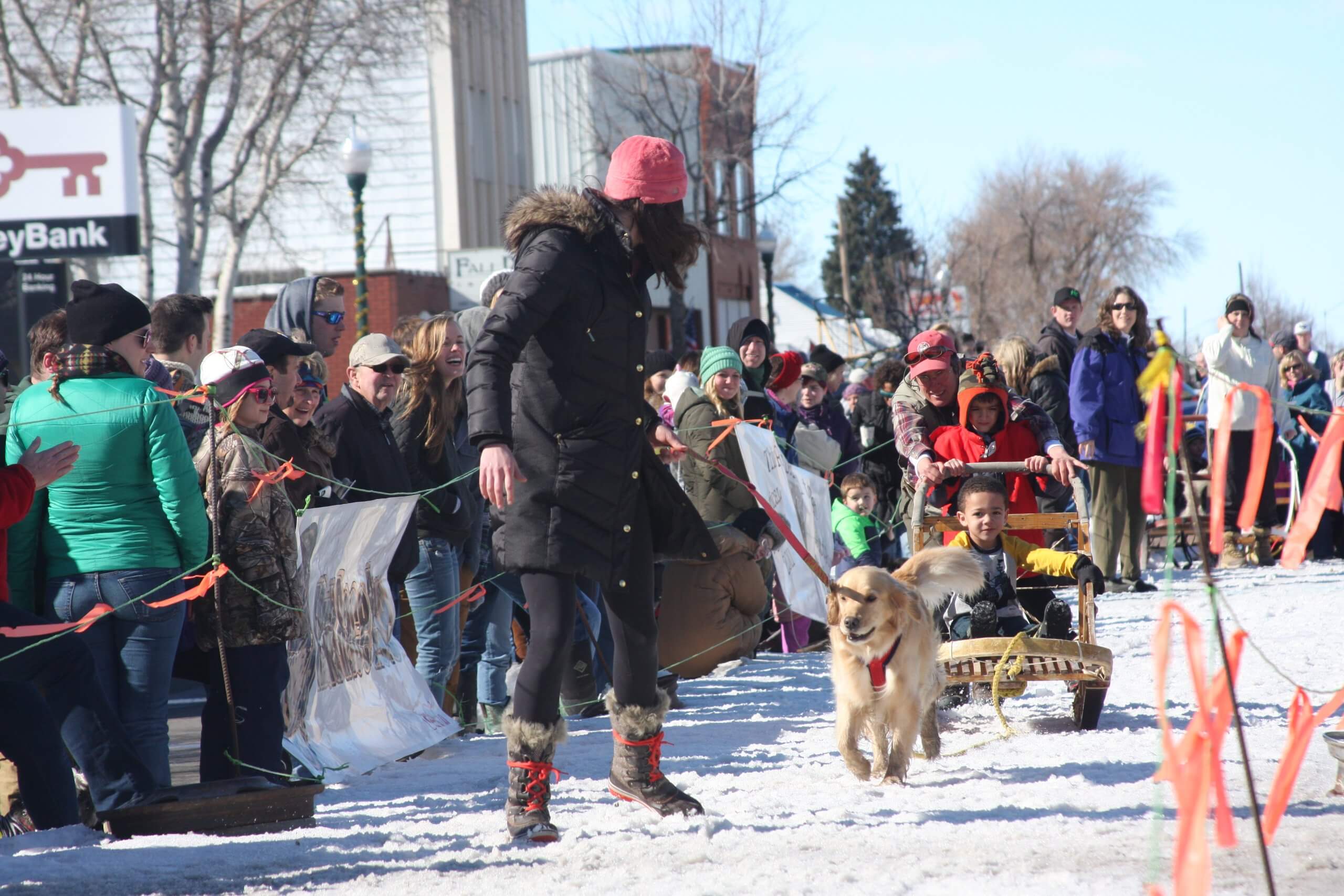 The American Dog Derby: A Howling Good Time