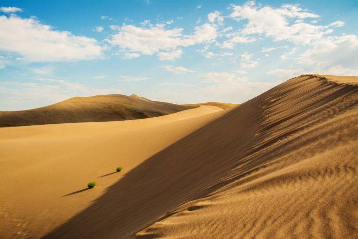 A picture of sand dunes in the summer.