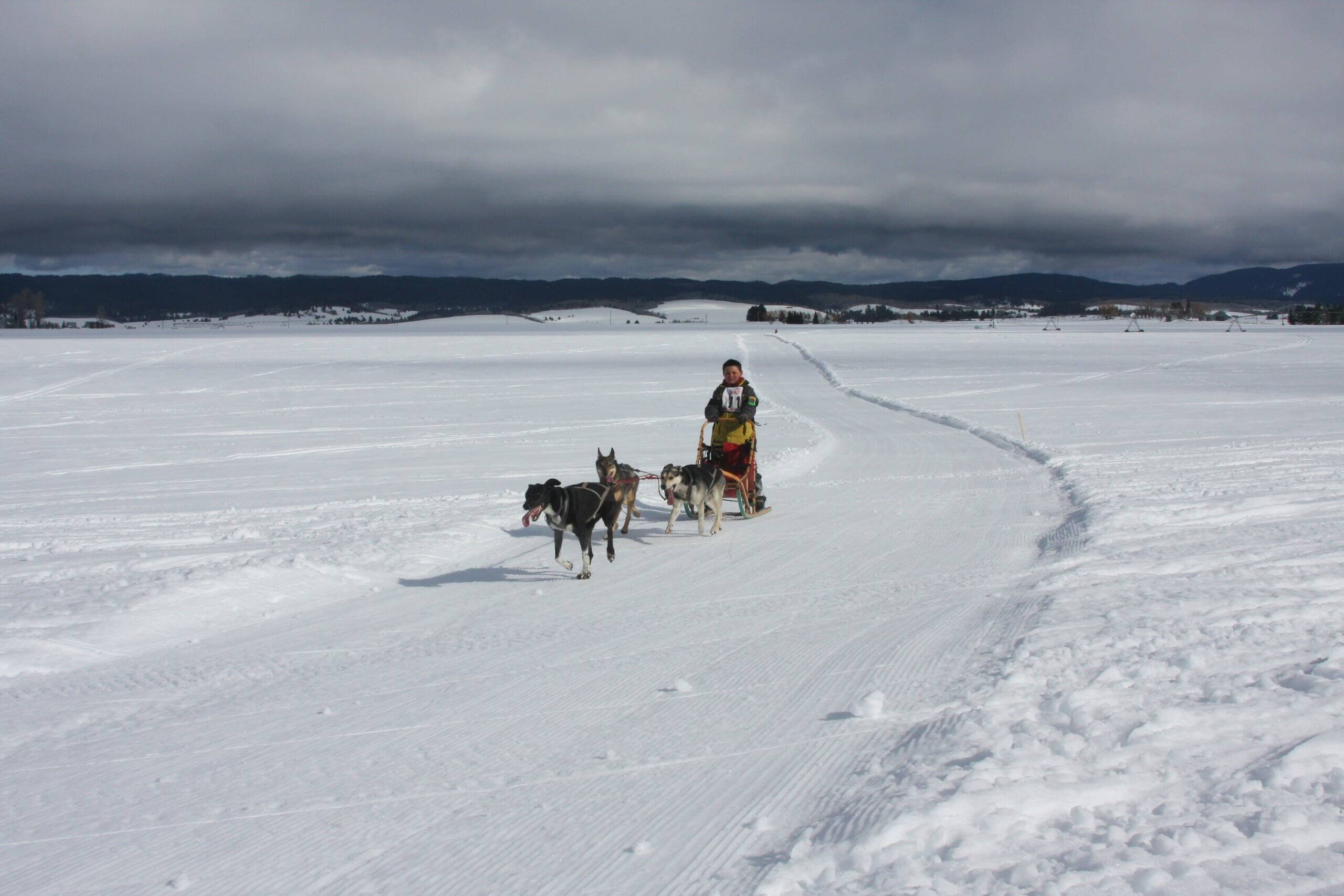 The American Dog Derby: A Howling Good Time